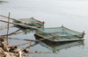 500 finfish farming cages in DK, Udupi make 2008 pilot a success story
